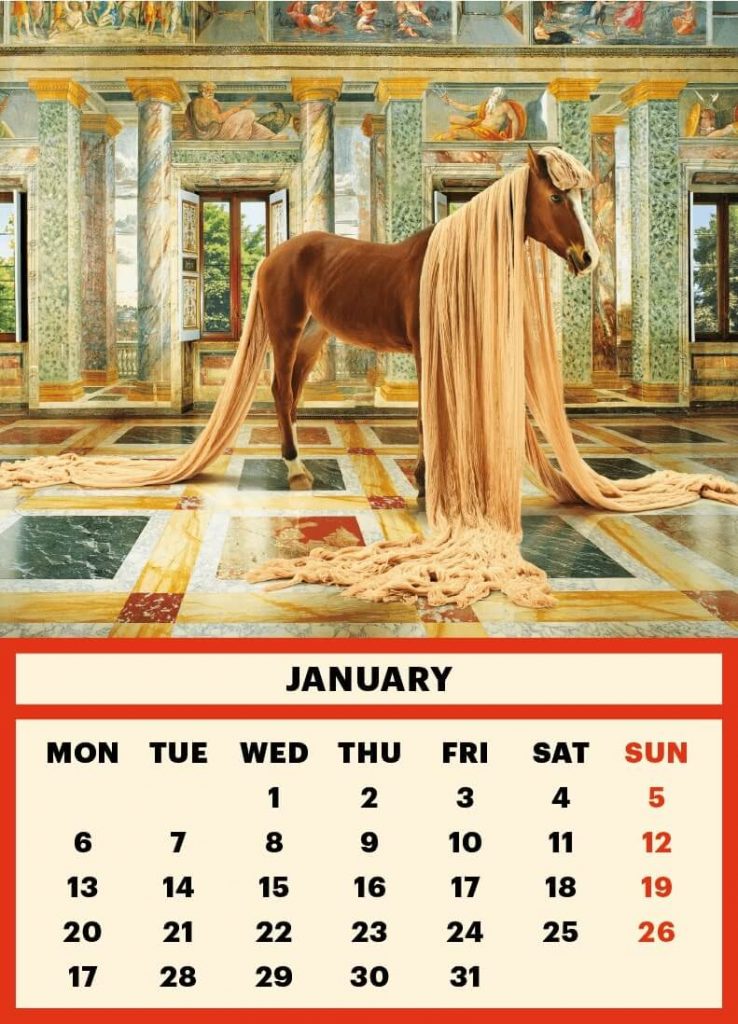 ToiletMartin PaperParr Calendar 2020