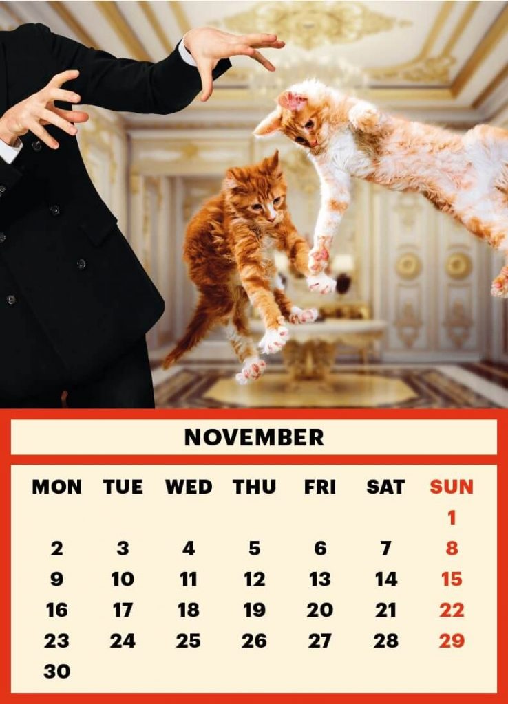 ToiletMartin PaperParr Calendar 2020