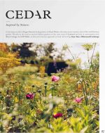 Cedar, Issue Two: A Borrowed Landscape