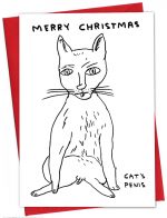 David Shrigley Christmas Card - Cat Penis Xmas