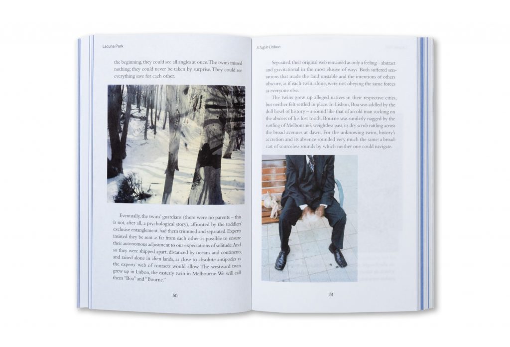 Lacuna Park: Essays and Other Adventures in Photography by Nicholas Muellner