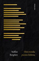 Staffan Bergsten Den svenska poesins historia