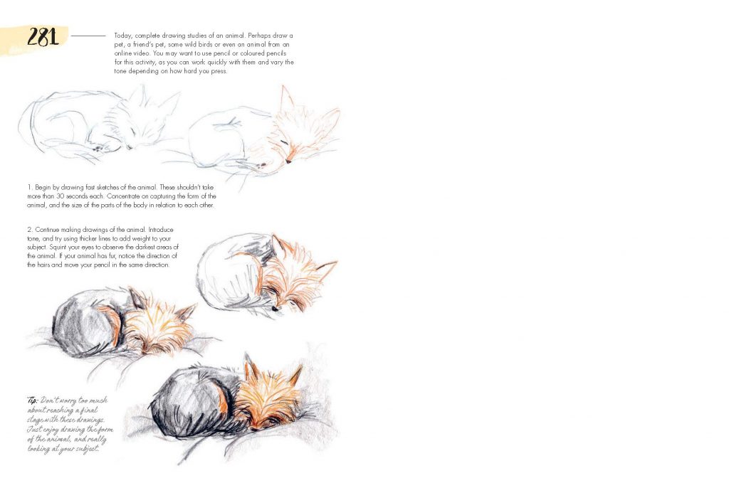 365 Days of Drawing: Sketch and paint your way through the creative year