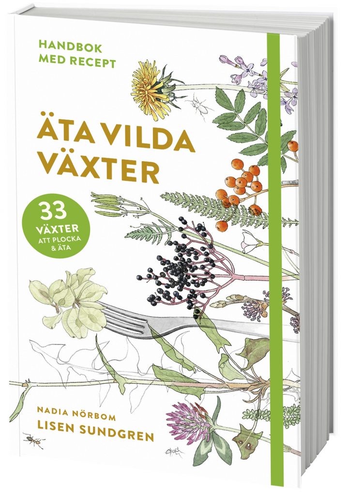 Äta vilda växter : 33 växter att plocka och äta