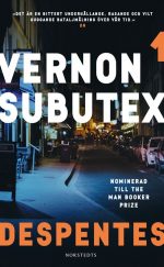 Vernon Subutex 1 Virginie Despentes