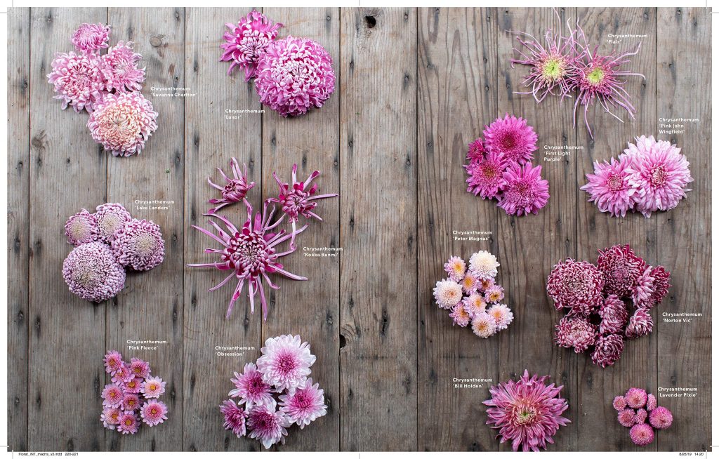 Floret Farm’s A Year in Flowers